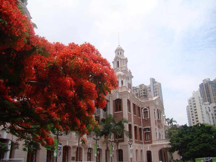 分享香港留學(xué)各專業(yè)申請(qǐng)秘籍，您知道嗎？