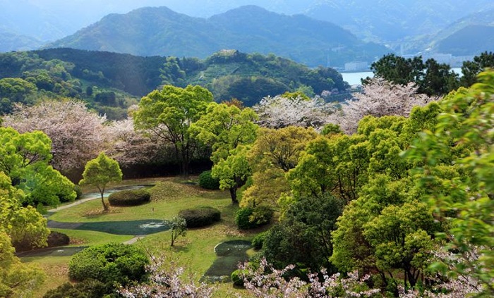 詳細介紹日本注冊公司需要什么資料？